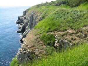 A cliff side view of the sea and green fields