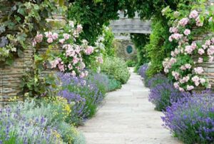 Flowers in full bloom with a path that cuts in between the flower lined route at Hestercombe Gardens