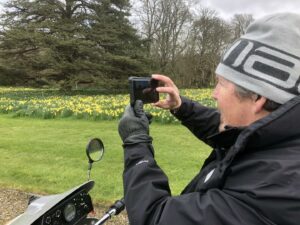 Man on tramper taking photo of the beautiful daffodils at national Trust Antony.