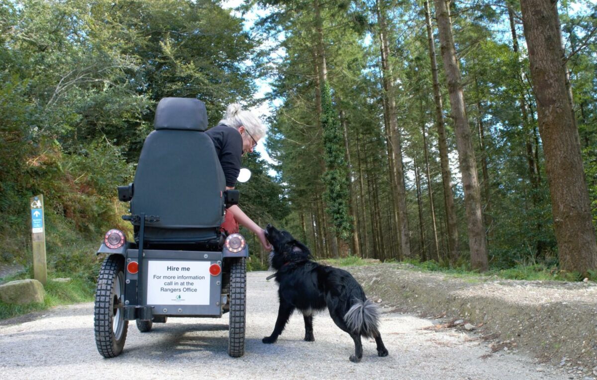 Mobility hire available - Cardinham Woods - credit Forestry England_0