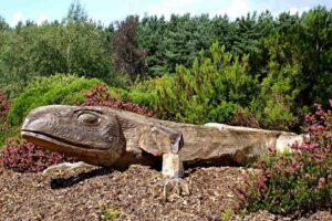 Carving of a wooden lizard with trees in the background at Avon Heath Country Park