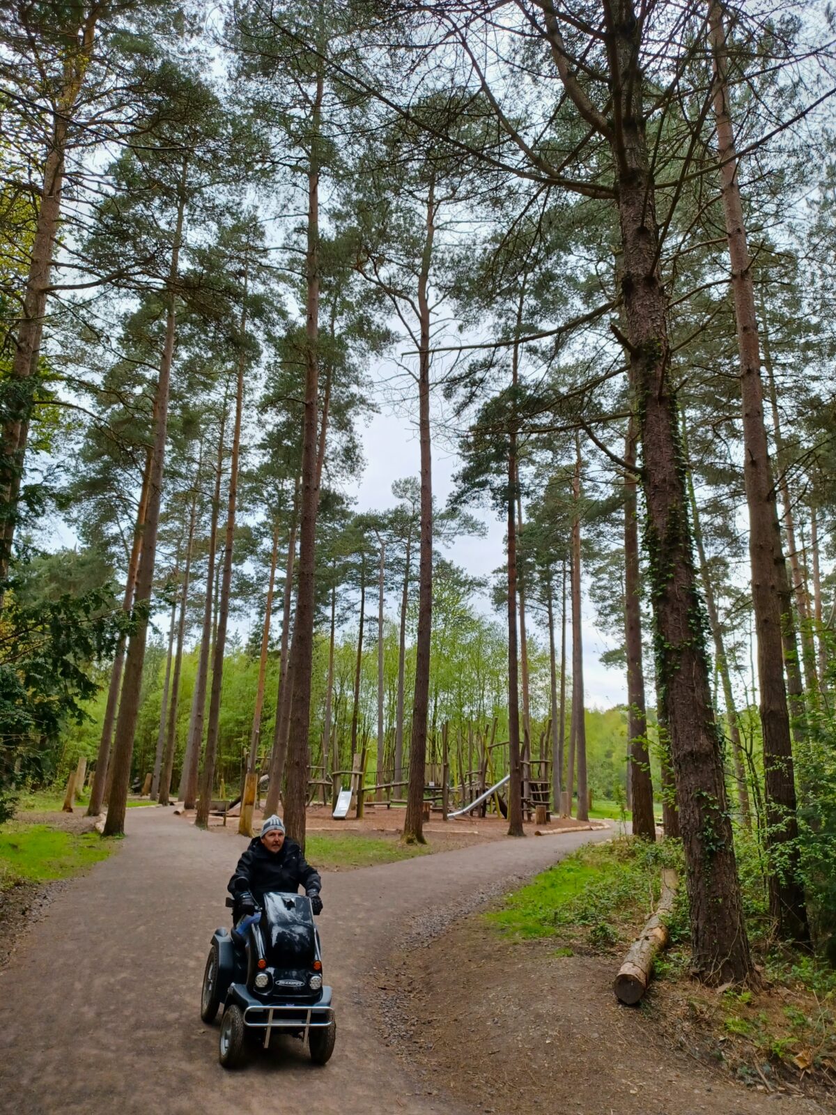 Visitor on an all terrain mobility scooter goes along forest path