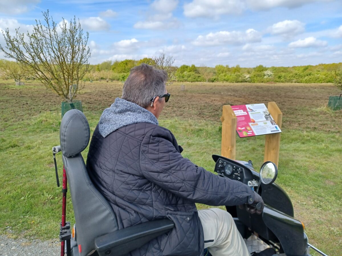 Man sitting on a Tramper all terrain mobility scooter looks across an orchard