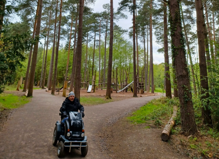 A Tarmper trip through a forest path - beautiful tall trees in the background