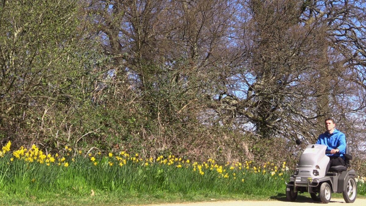 All terrain mobility scooter passes a flower bed of spring flowers at the Lost Gardens of Heligan