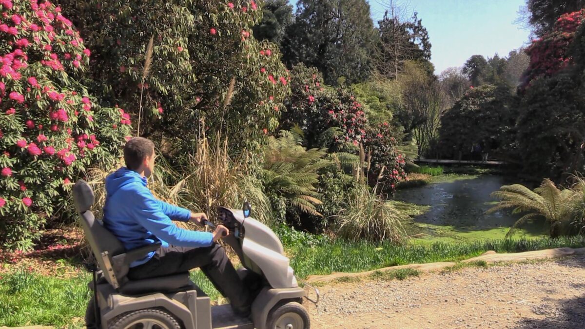 All terrain mobility scooter with a visitor looking into an area of tropical gardens at the Lost Gardens of Heligan