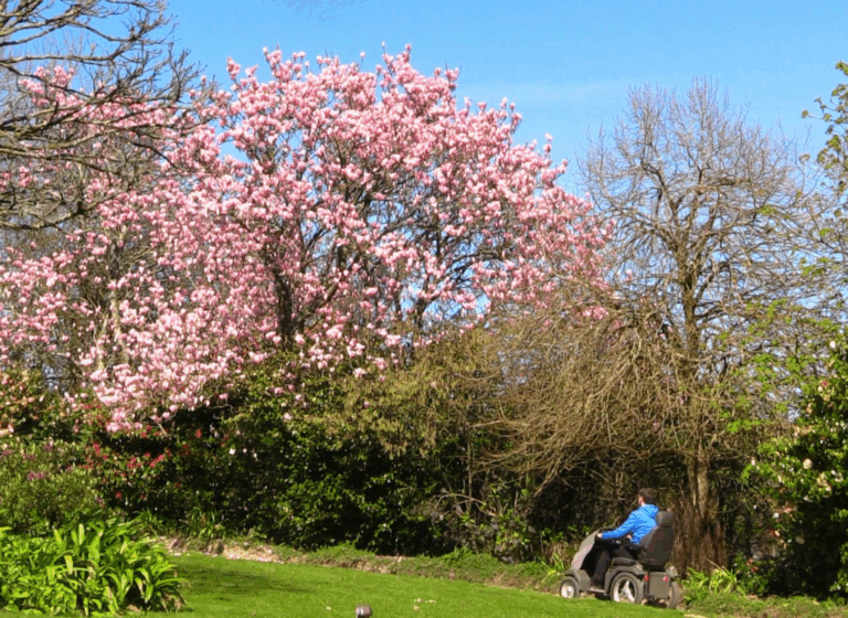 All terrain mobility scooter passes through a spring garden. It approaches a tree with pink blossom