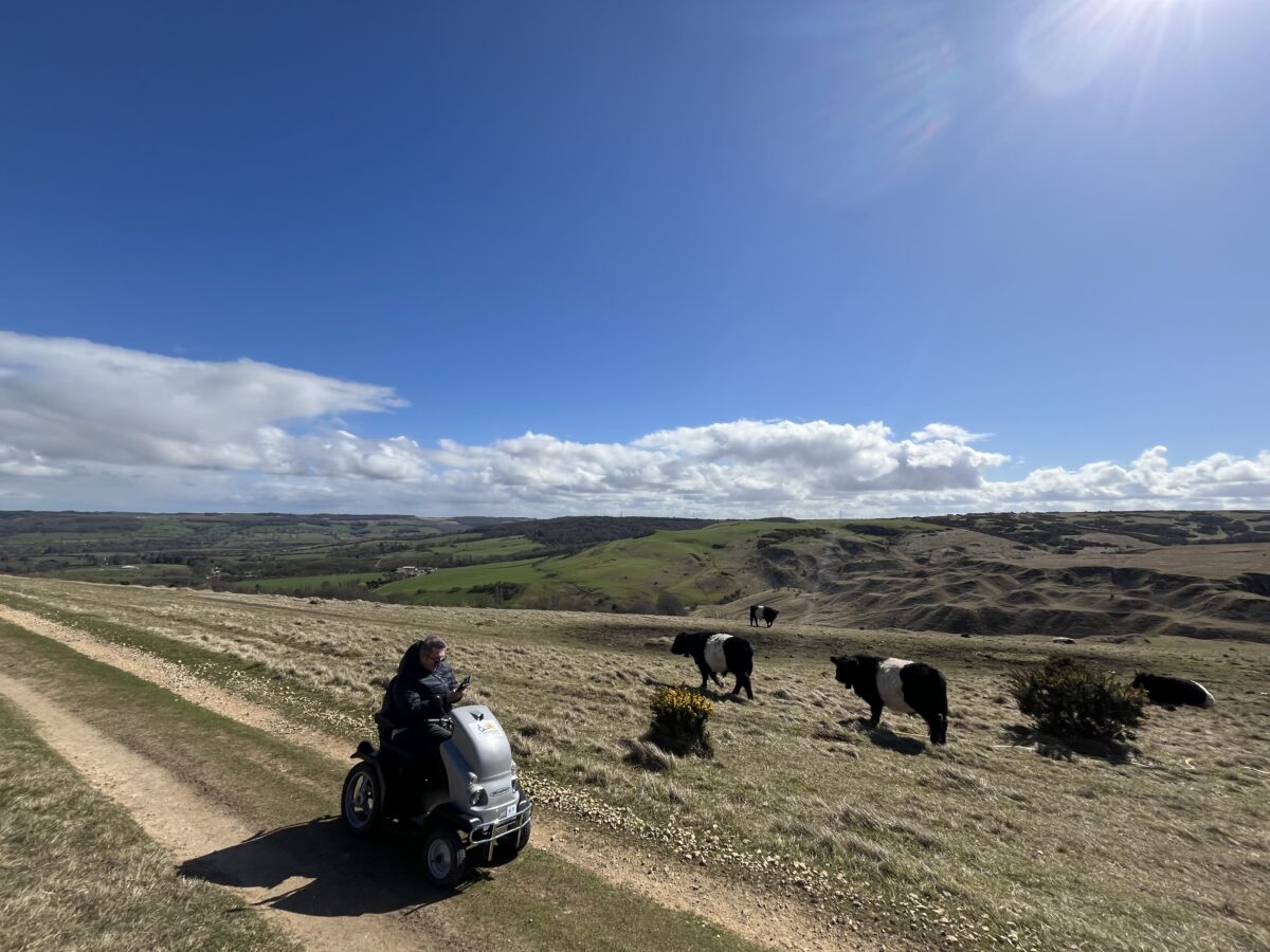 Man on all terrain mobility scooter takes photos of black and white cows on an open hillside with blue skies